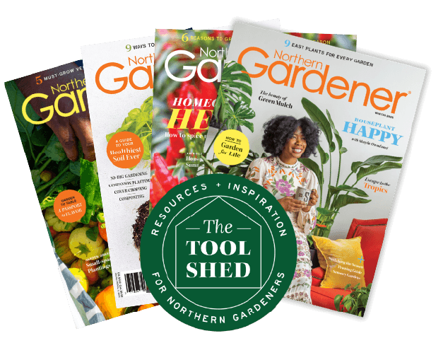 Magazine and Tool Shed