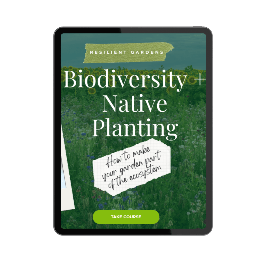 Biodiversity + Native Planting Course