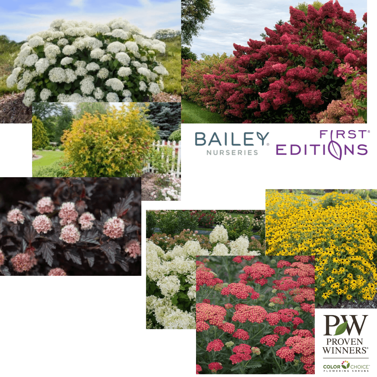 Garden Gala Plant Alternatives