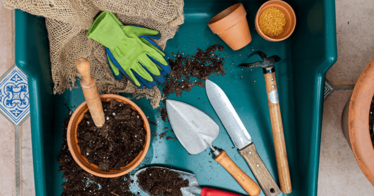 Best tools for Northern Gardeners