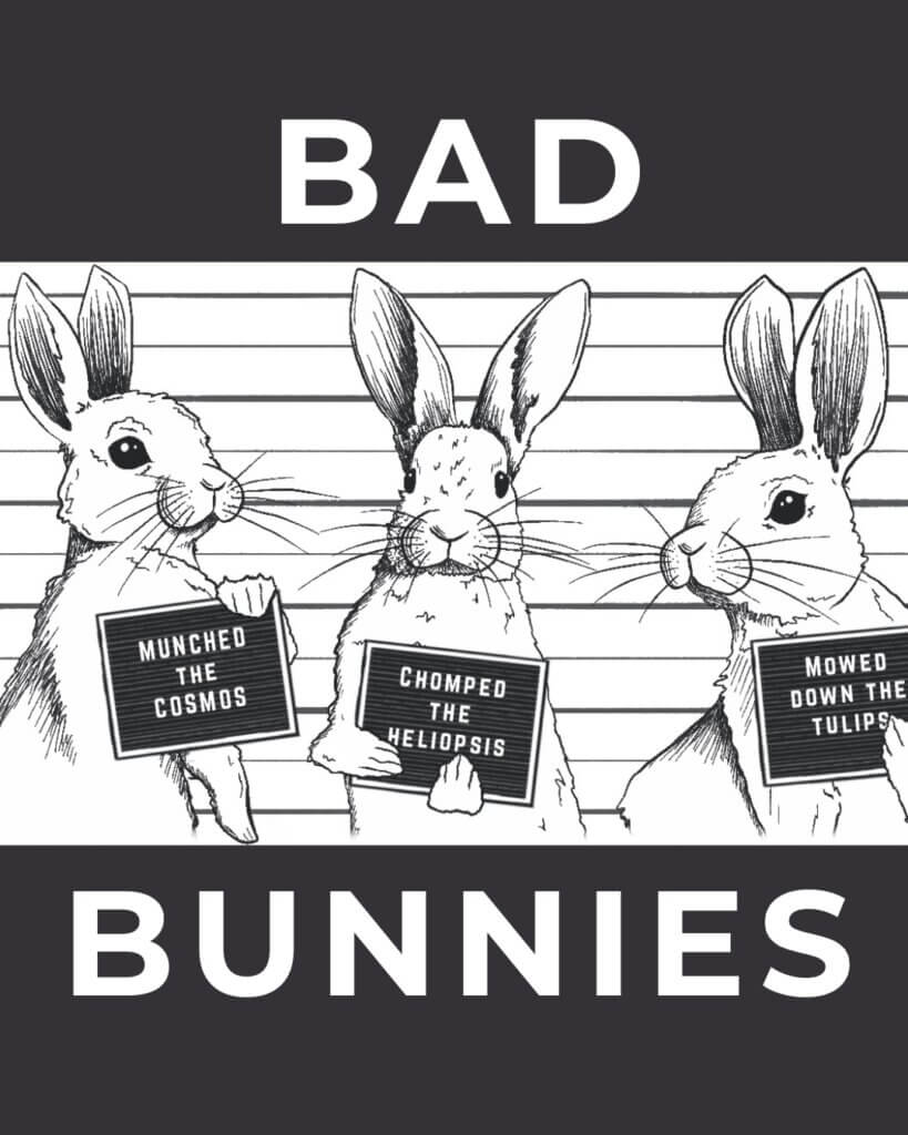 Bad Bunnies