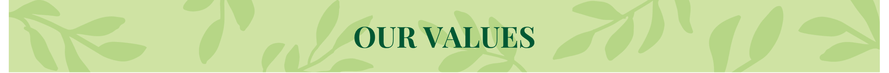 Our values