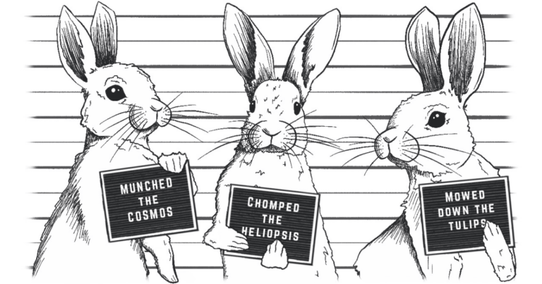 Rabbit Resistant Plants